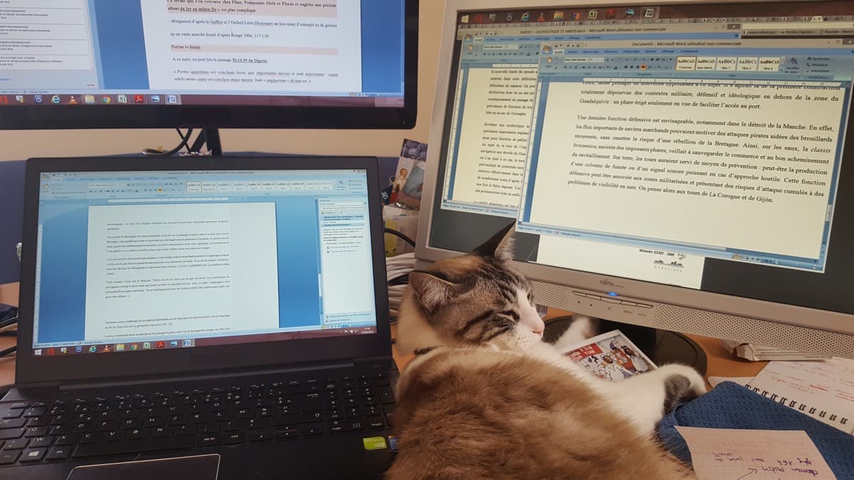 Barbara's thesis workspace with 3 screens and Ulysse the cat